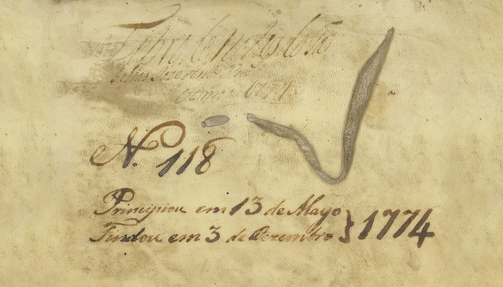 Cartório Notarial - 2º Ofício